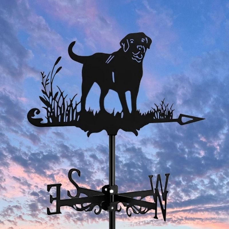 Labrador Stainless Steel Weathervane MW011