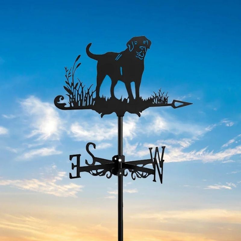 Labrador Stainless Steel Weathervane MW011