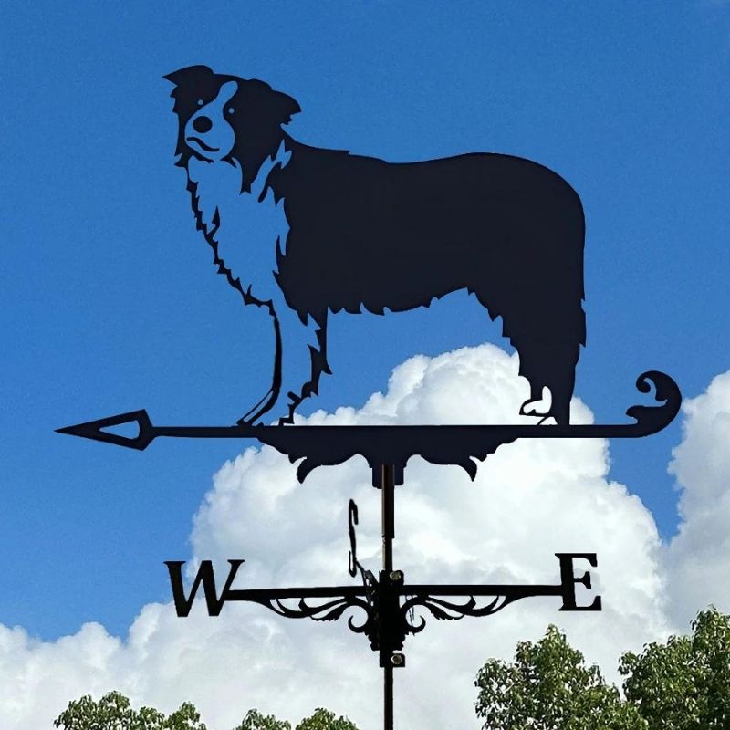 Border Collie Stainless Steel Weathervane MW012