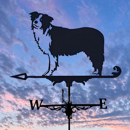 Border Collie Stainless Steel Weathervane MW012