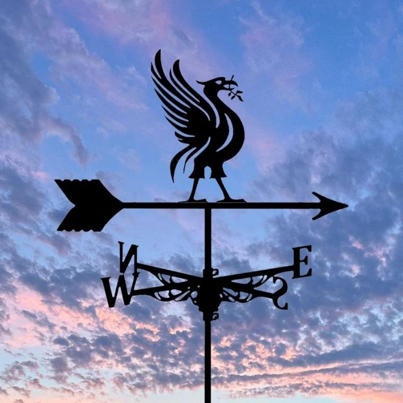 Liver Bird Stainless Steel Weathervane MW013